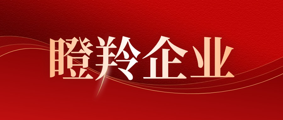 喜報！譽(yù)辰智能獲評深圳市 “瞪羚企業(yè)” 稱(chēng)號